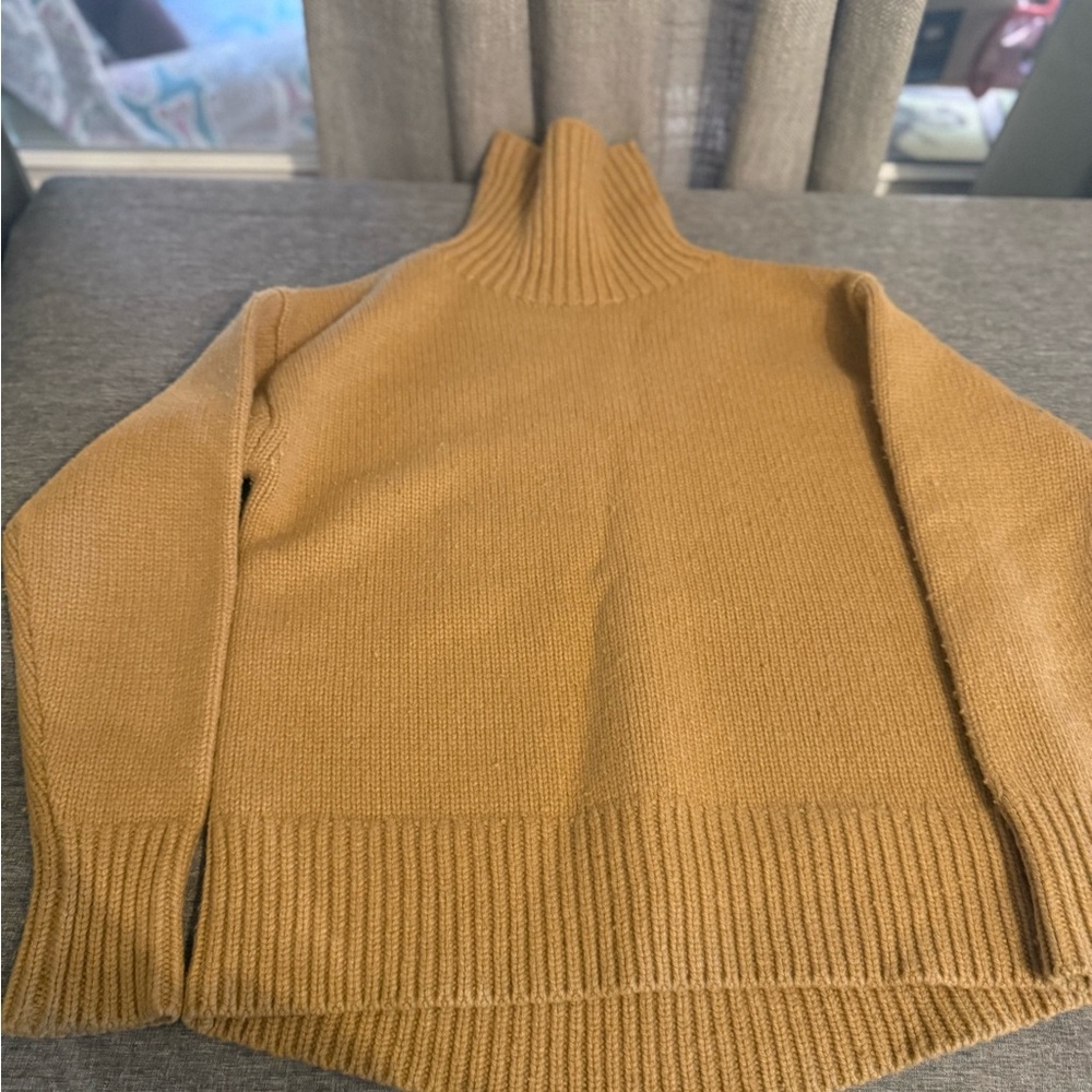 rag & bone Tan Turtleneck Sweater